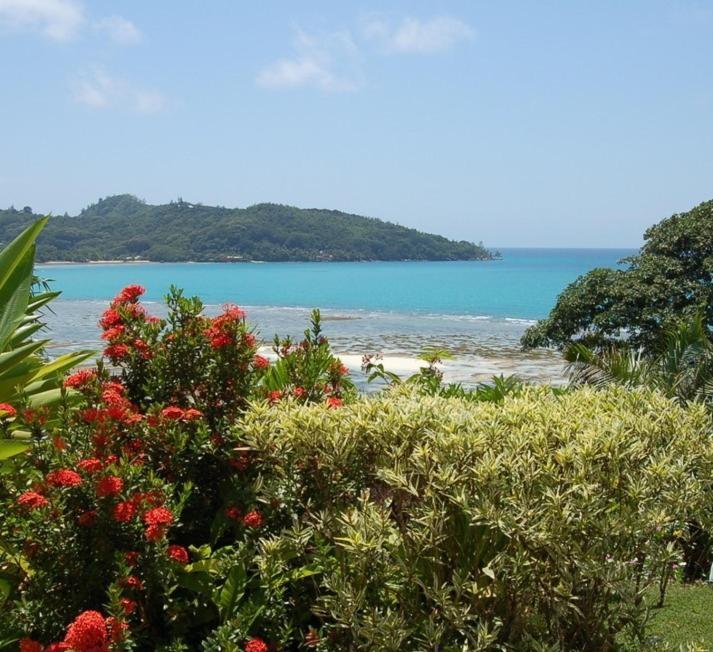 Sailfish Beach Villas Anse a La Mouche Екстер'єр фото